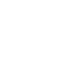 Ícone X